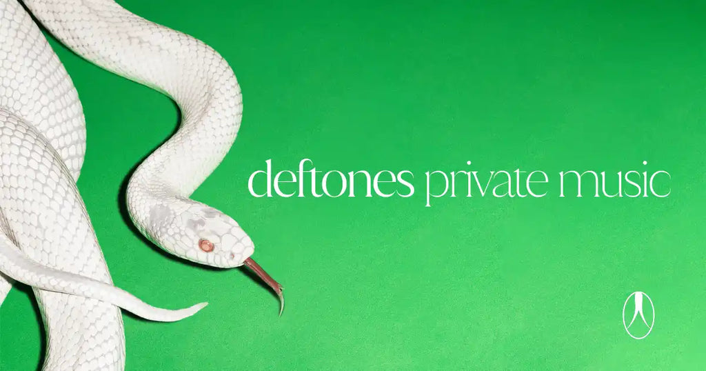 Albino snake with red eyes and a dark, forked tongue.