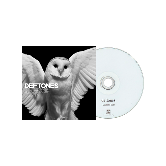 White owl with outstretched wings on an album cover for Deftones’ ’Diamond Eyes’.