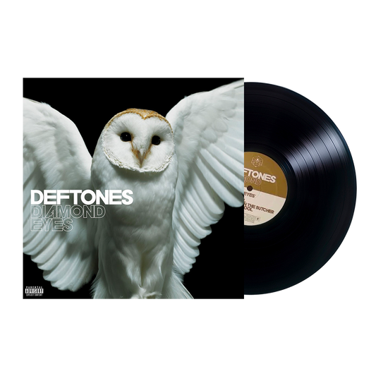 White barn owl with outstretched wings on an album cover for Deftones’ ’Diamond Eyes’.