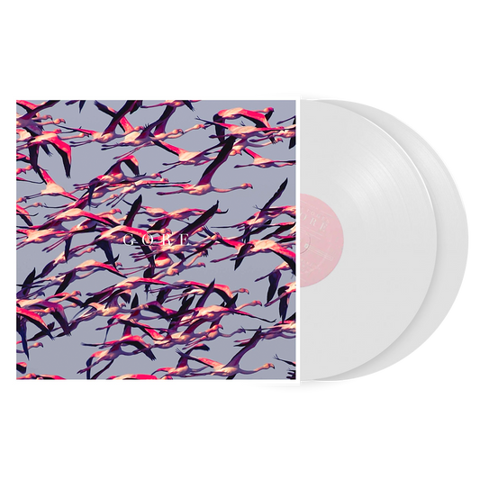 Album cover featuring stylized flamingos in flight against a gray background.