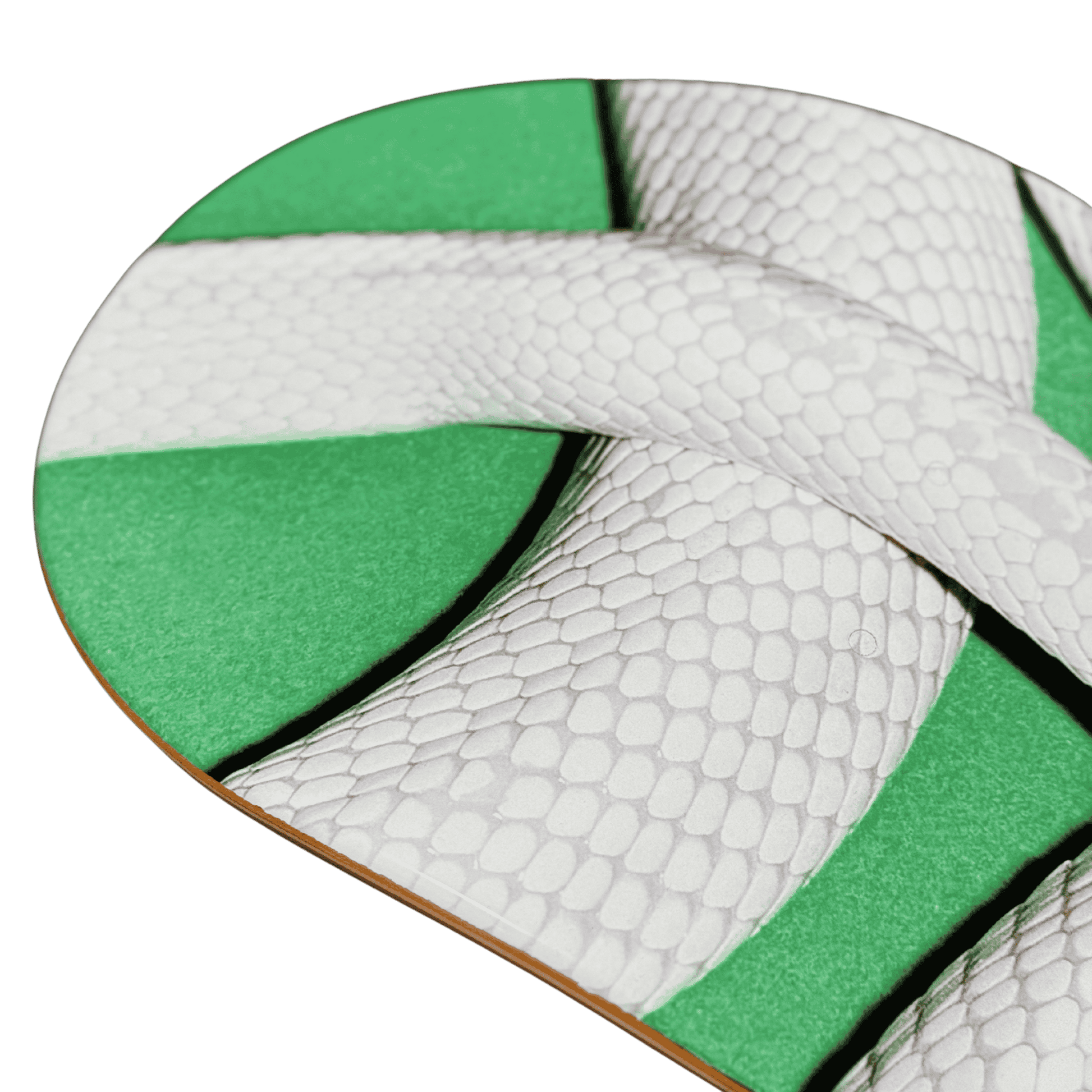 private music x santa cruz skate deck