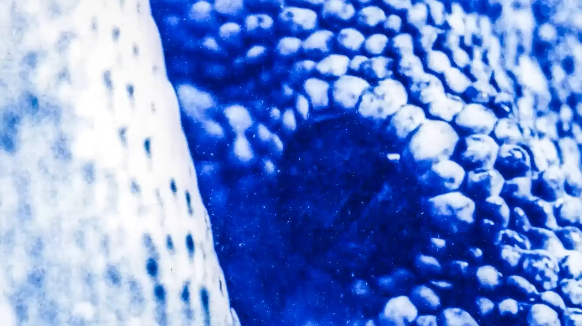 Textured blue and white fabric.